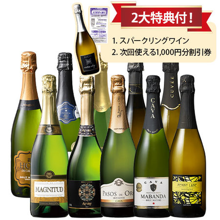 瓶内二次発酵製法カバ入り！世界4ヵ国スパークリング10本セット