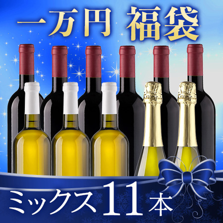 【一万円福袋】世界ミックス11本