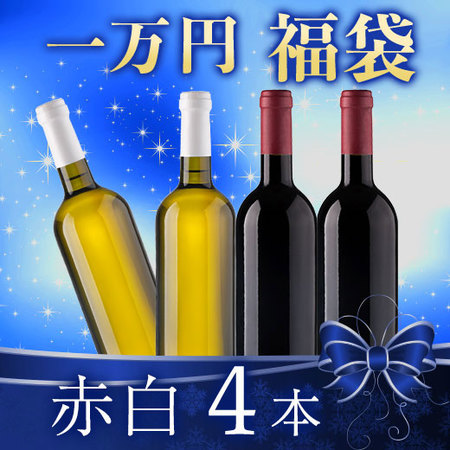 【一万円福袋】ブルゴーニュ赤白4本