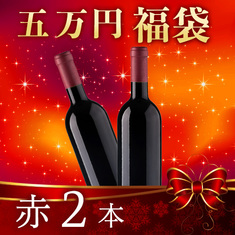 【五万円福袋】赤2本