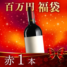 【百万円福袋】赤1本