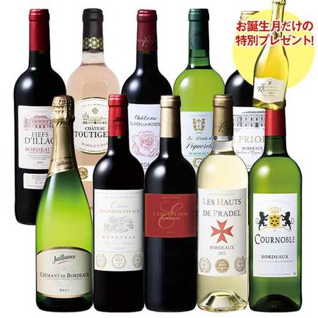 【プレセントワイン付】ボルドー赤白泡ロゼバラエティ１０本セット第２弾