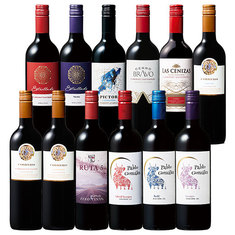 旨い・安い・ばっチリ赤ワイン飲み比べ12本セット