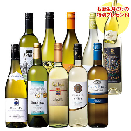 【プレゼントワイン付】「シャプティエ」入り！世界の白ワイン10本セット