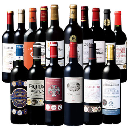 ボルドー熟成&グレートヴィンテージ飲み比べ16本セット