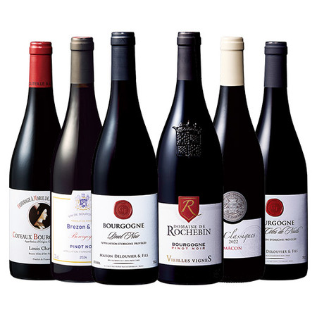 ブルゴーニュ地方満喫赤ワイン６本セット第１４弾