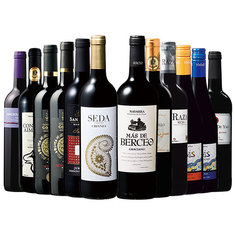 スペイン各地を堪能！スペイン周遊濃厚赤１２本セット　第５弾