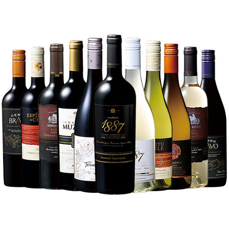 欧州国に挑む、金賞・樽塾入りチリの底力赤白ワイン１１本セット