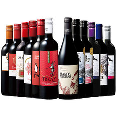 金賞・樽熟・高評価入り！南米2大銘醸国チリ＆アルゼンチン赤ワイン飲み比べ12本セット第４弾