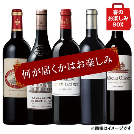 【春のお楽しみBOX】ボルドープレミアム赤ワイン厳選5本お楽しみボックス