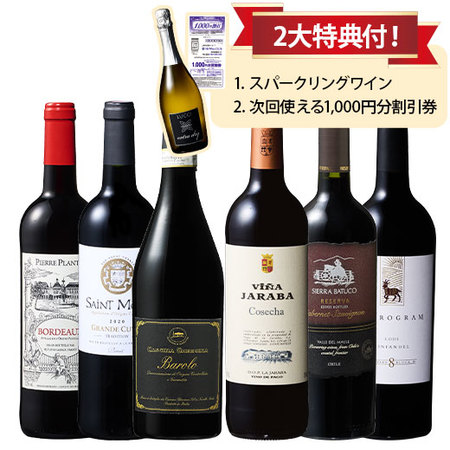 バローロ＆ヴィノ・デ・パゴ入り！世界の赤ワイン6本セット