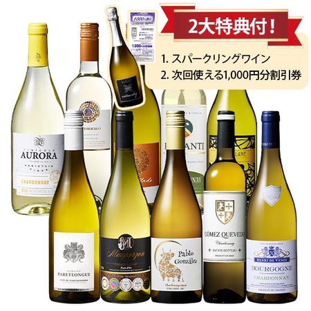 ブルゴーニュ入り！世界のシャルドネ飲み比べ10本セット