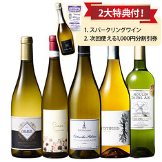 シャブリ入り！世界の格上白ワイン5本セット