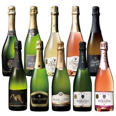 瓶内二次発酵製法カバ5本入り！スペイン多金スパークリング10本セット