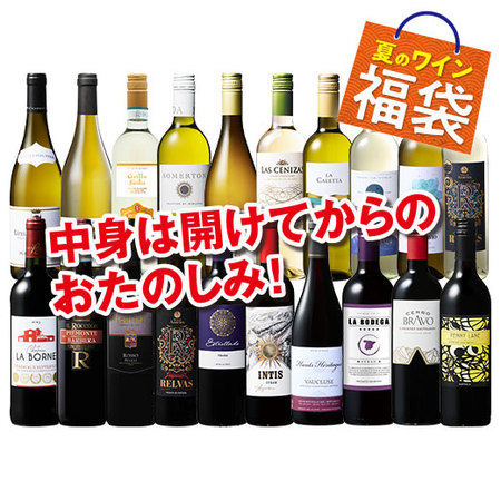世界赤白ワイン福袋20本セット