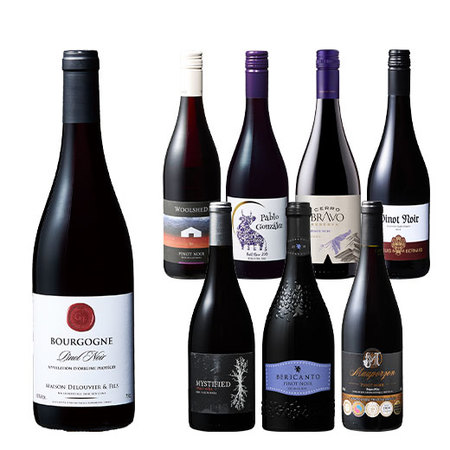 ブルゴーニュ＆5冠金賞入り！世界のピノ・ノワール飲み比べ８本セット