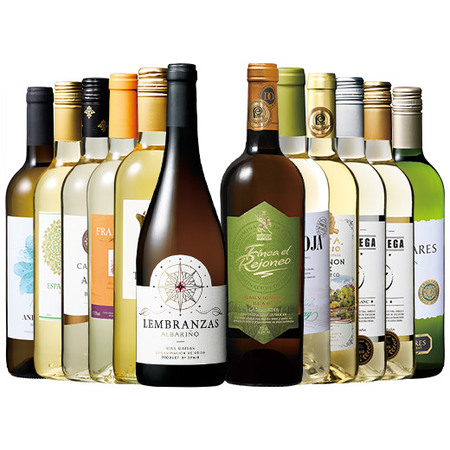 リアス・バイシャス入り！スペイン白ワイン飲み比べ１２本セット