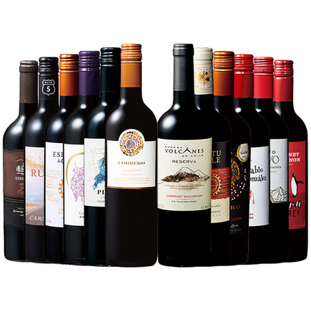 チリが誇る揺るぎない王道品種カベルネ・ソーヴィニヨン＆カルメネール飲み比べ１２本セット第３弾