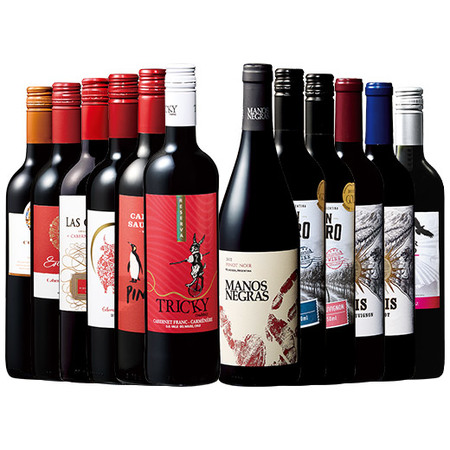金賞・樽熟・高評価入り！南米2大銘醸国チリ＆アルゼンチン赤ワイン飲み比べ12本セット第４弾
