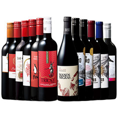 金賞・樽熟・高評価入り！南米2大銘醸国チリ＆アルゼンチン赤ワイン飲み比べ12本セット第４弾