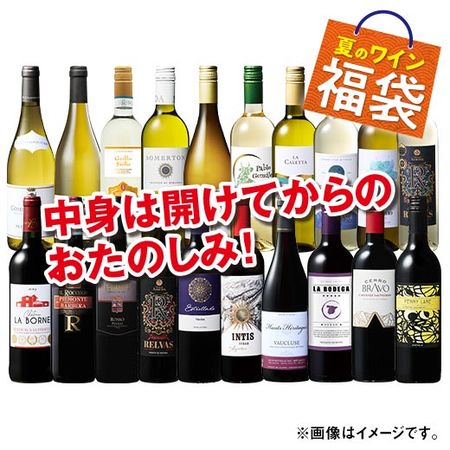 世界赤白ワイン福袋20本セット　第2弾