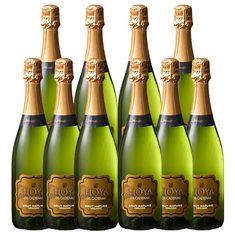 ケース買い！スペイン定番スパークリングワイン1種10本セット
