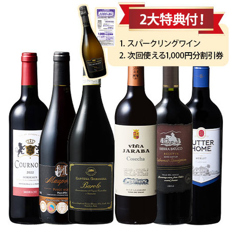 バローロ＆ヴィノ・デ・パゴ入り！世界の赤ワイン6本セット
