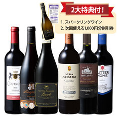 バローロ＆ヴィノ・デ・パゴ入り！世界の赤ワイン6本セット