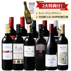 3大銘醸国から南米まで楽しめる！世界5ヵ国の赤ワイン11本セット 第2弾