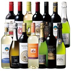 世界デイリー赤白スパークリングワイン１４本セット