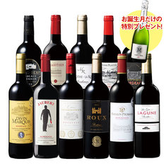 【プレセントワイン付】ボルドーお得赤ワイン１1本セット　第25弾