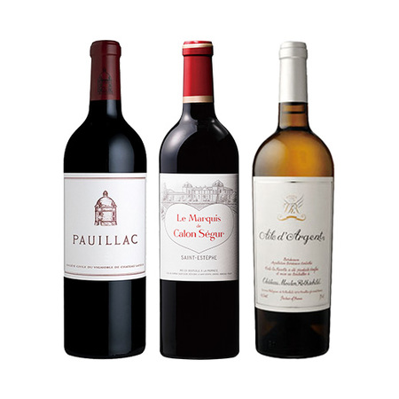 ダブルソムリエ厳選！ハイクオリティグランヴァン頒布会　【年１２回コース】