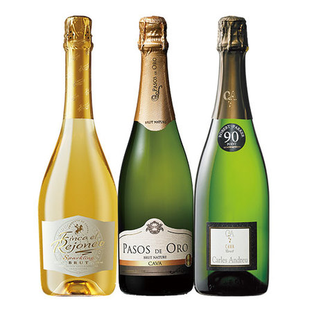 魅惑のスパークリングワイン　第１２弾　【年１２回コース】