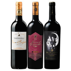 情熱の国スペインを周遊！フルボディ赤３本年間コース　第１２弾　【年１２回コース】