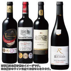 フランス金賞赤ワインおまかせ便スペシャル４本コース　【定期便・おまかせ便】