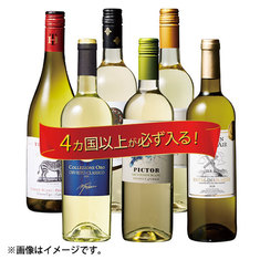 白ワインおまかせ便６本コース　【定期便・おまかせ便】