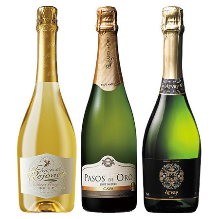 魅惑のスパークリングワイン　第１５弾　【年１２回コース】