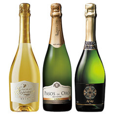 魅惑のスパークリングワイン　第１５弾　【年１２回コース】